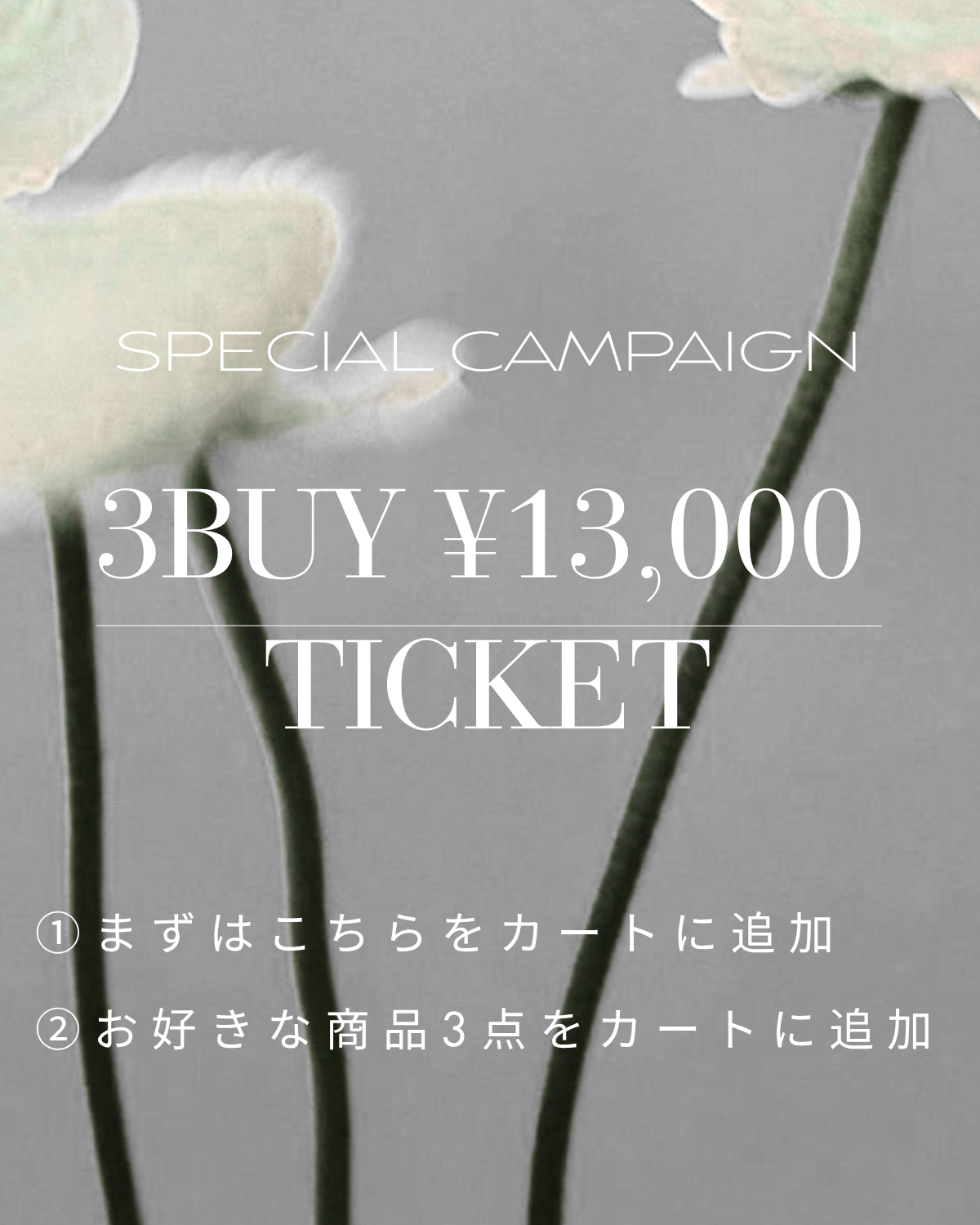 ALL ITEM – ANDREA&Co.