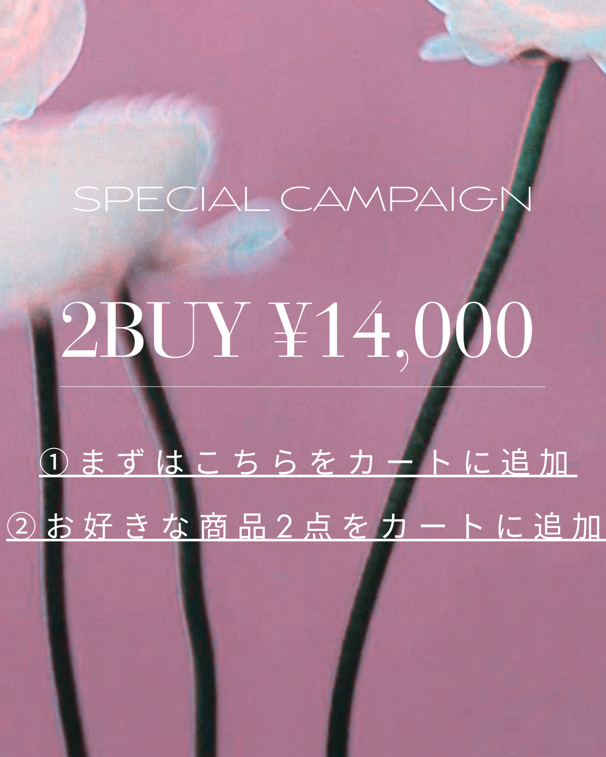 ALL ITEM – ANDREA&Co.